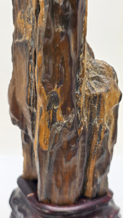 A vertical, dark brown and black petrified wood specimen mounted on an ornate, dark-stained carved wooden base. The stone features deep vertical ridges and a polished, glassy surface, tapering to a rugged point at the top. The entire piece stands 21 cm tall against a plain white background.