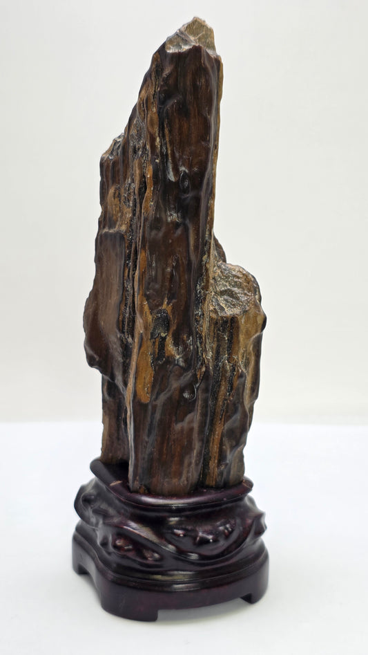 A vertical, dark brown and black petrified wood specimen mounted on an ornate, dark-stained carved wooden base. The stone features deep vertical ridges and a polished, glassy surface, tapering to a rugged point at the top. The entire piece stands 21 cm tall against a plain white background.