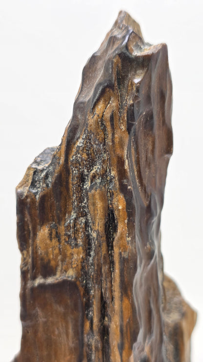 A vertical, dark brown and black petrified wood specimen mounted on an ornate, dark-stained carved wooden base. The stone features deep vertical ridges and a polished, glassy surface, tapering to a rugged point at the top. The entire piece stands 21 cm tall against a plain white background.