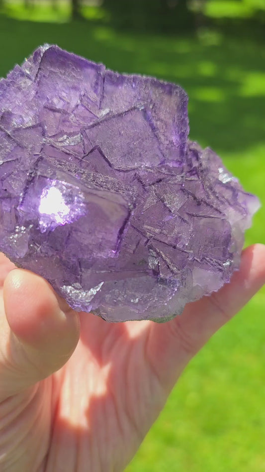 Elmwood Mine Purple Cubic Fluorite - Classic Tennessee Masterpiece