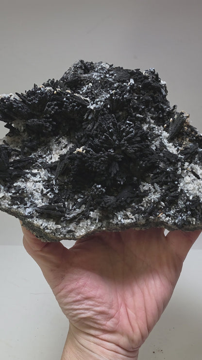 Classic Uvite Tourmaline Crystal Sprays on Matrix | Pierrepont, New York | 9.0" / 1.3kg