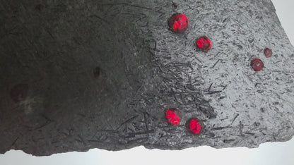 "Red Embers" Almandine Garnet & Schorl Plate (15 Garnets) | 5.75"