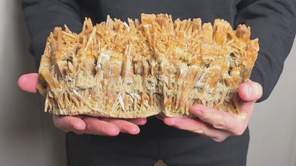 Gypsum var. Selenite: Swan Hill, Victoria, Australia - 12-inch Specimen