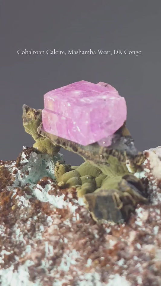 💎 Museum-Quality (Founder's Edition) Cobaltoan Calcite w/ 16mm Isolated Crystal & Kolwezite – Mashamba West, D.R. Congo