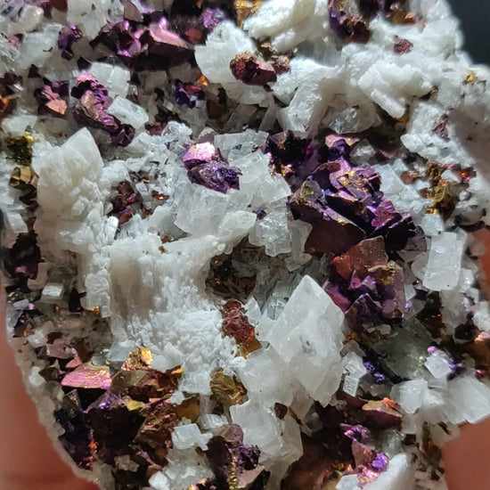 Iridescent rainbow chalcopyrite crystals on white rhombohedral calcite matrix from Baisha Mine, China.
