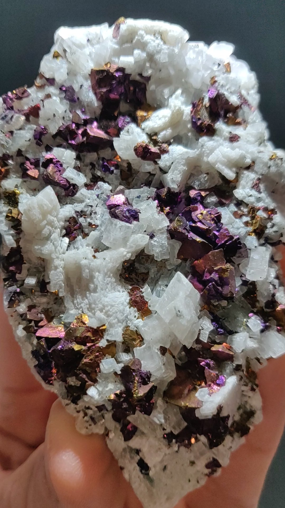 Iridescent rainbow chalcopyrite crystals on white rhombohedral calcite matrix from Baisha Mine, China.