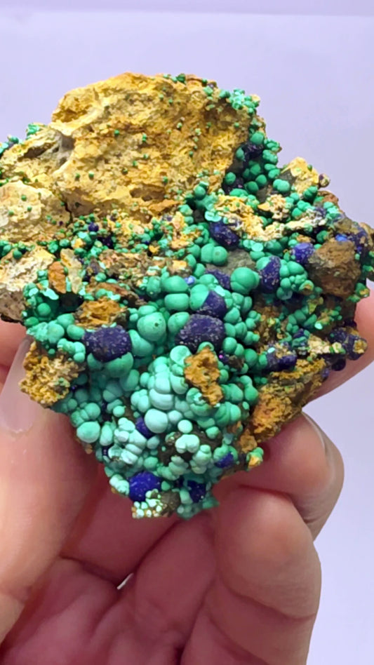 Botryoidal Azurite & Malachite Specimen – Morenci Mine, Arizona – 1990's Old Stock