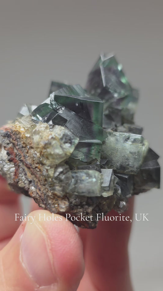 Fairy Holes Pocket Fluorite, Lady Annabella Mine, UK