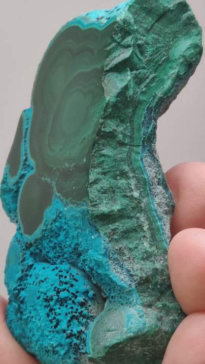 Botryoidal Chrysocolla with Malachite and Tenorite, DR Congo