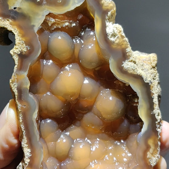 Polished Agatized Fossil Coral geode from Withlacoochee River, Florida. 5.4 inch specimen showing translucent honey-colored amber chalcedony and a bubbly botryoidal crystal cavity.