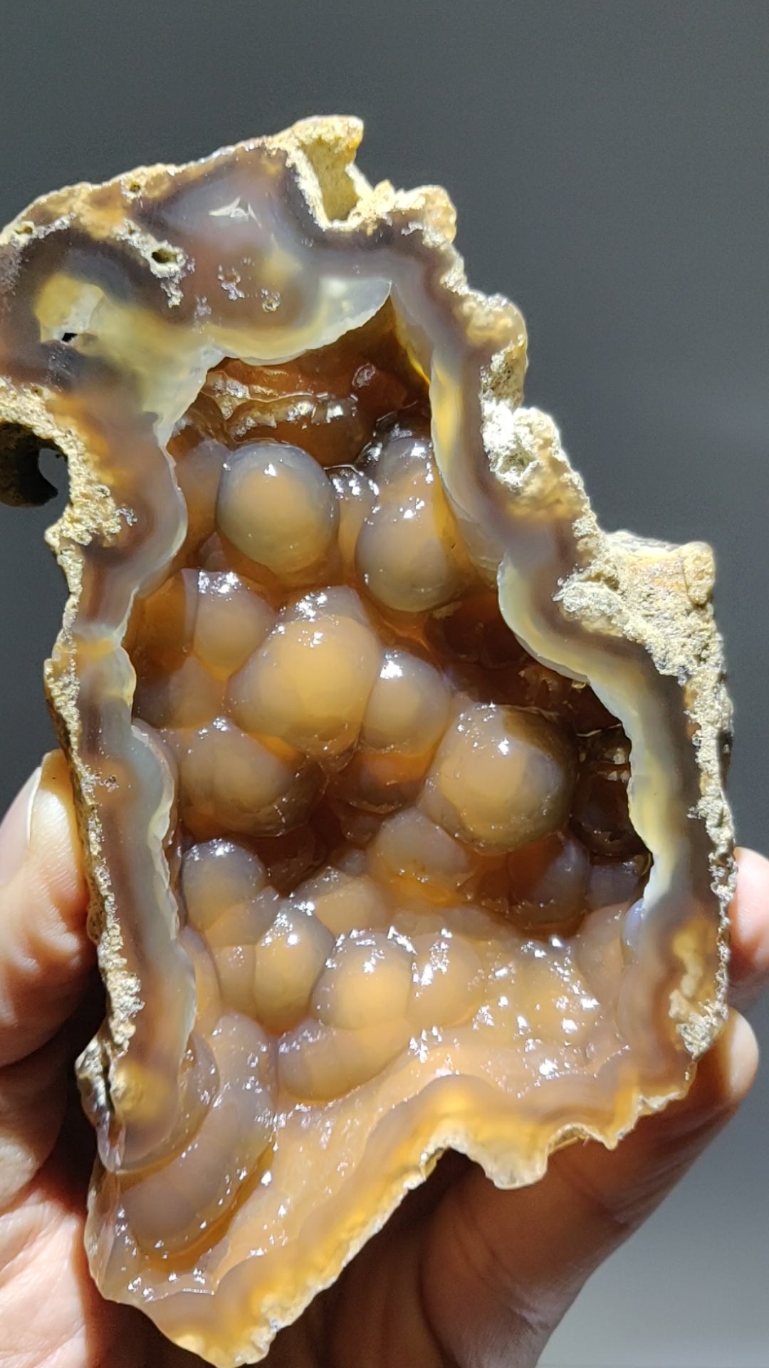 Polished Agatized Fossil Coral geode from Withlacoochee River, Florida. 5.4 inch specimen showing translucent honey-colored amber chalcedony and a bubbly botryoidal crystal cavity.