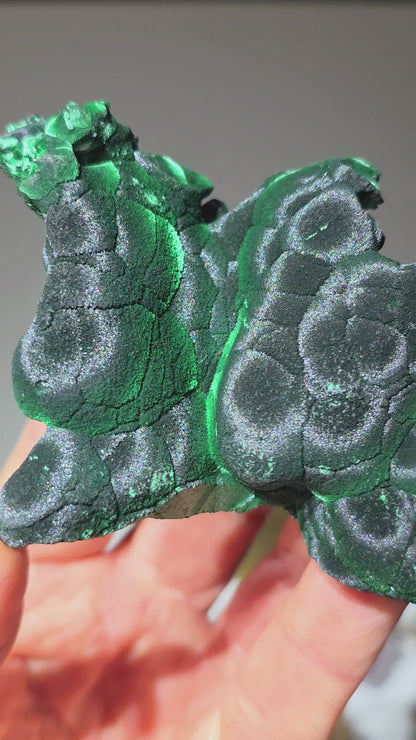 High-Chatoyancy "Cat's Eye" Fibrous Malachite | Shilu Mine, Guangdong, China | 2.8" / 200g