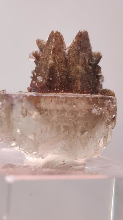 Stunning Dogtooth Calcite & Clear Fluorite - Potosi Mine, Chihuahua, Mexico (TN Size)