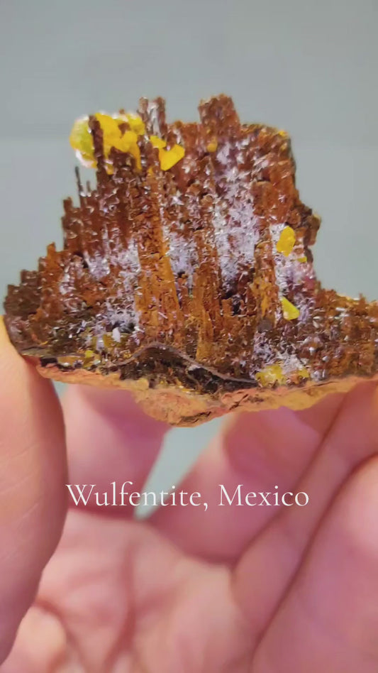 Butterscotch Wulfenite with Aragonite Sprays — Los Lamentos, Chihuahua, Mexico