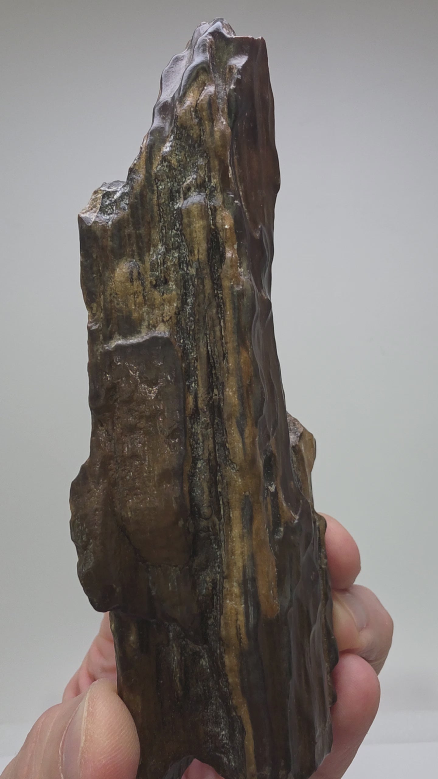 A vertical, dark brown and black petrified wood specimen mounted on an ornate, dark-stained carved wooden base. The stone features deep vertical ridges and a polished, glassy surface, tapering to a rugged point at the top. The entire piece stands 21 cm tall against a plain white background.