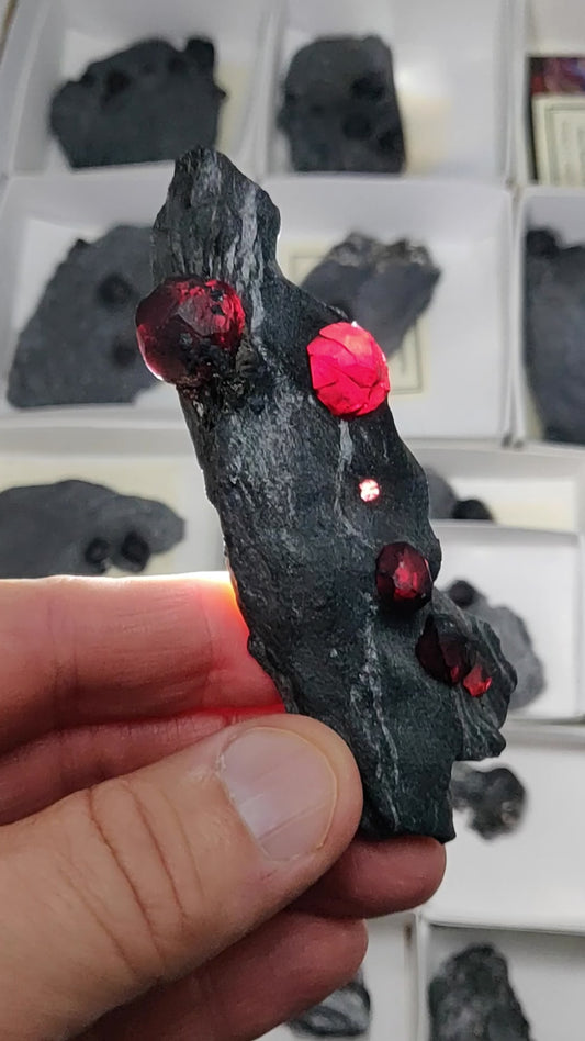 Red Embers Mine Almandine Garnets on Graphite – 6-Garnet Collector Specimen