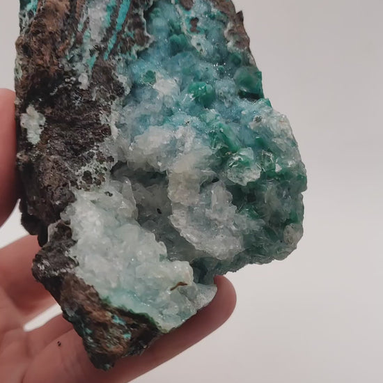 Chrysocolla videos