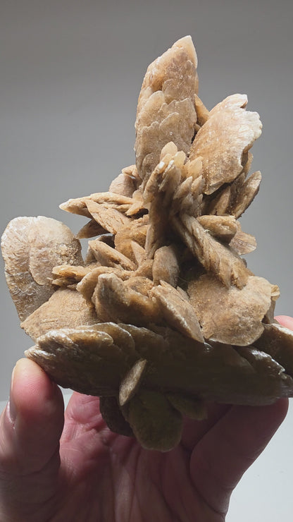 Bladed Sand Selenite Desert Rose Cluster | Inner Mongolia, China | 6.0" / 700g