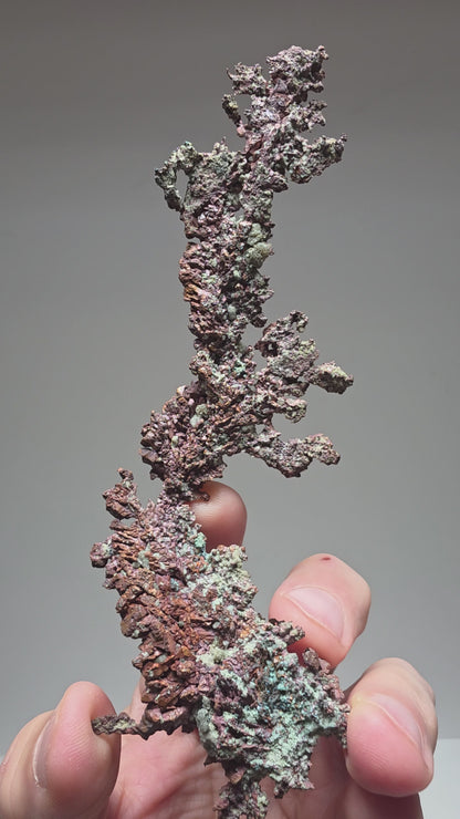 Arborescent Native Copper - Chino Mine, New Mexico