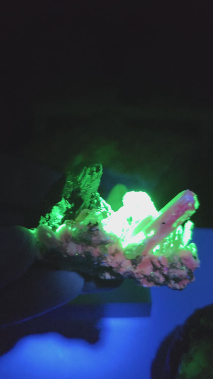 Multi-Color Fluorescent Schorl & Hyalite Association | Erongo, Namibia