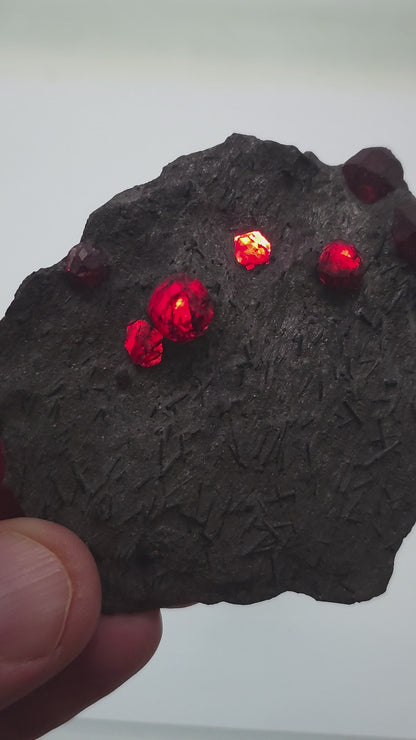 Almandine Garnet on Graphite – Red Embers Mine, Massachusetts