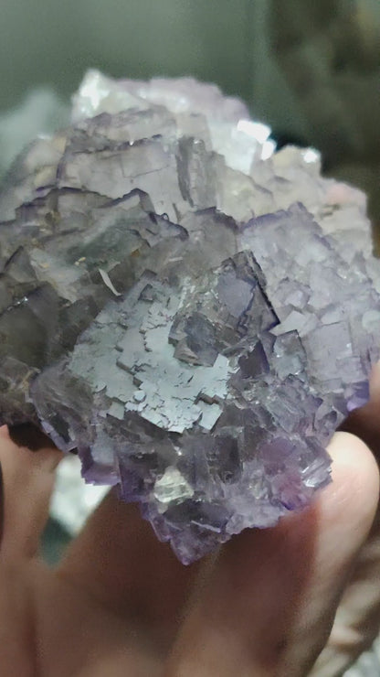 Purple Fluorite, Mexico, Ex. Wolfgang Vogt collection