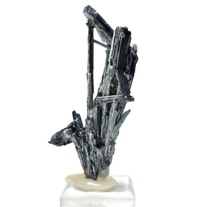A natural mineral specimen featuring dark metallic gray and black crystalline structures with iridescent greenish highlights, mounted on a small pale cream-colored base, photographed against a solid white background.